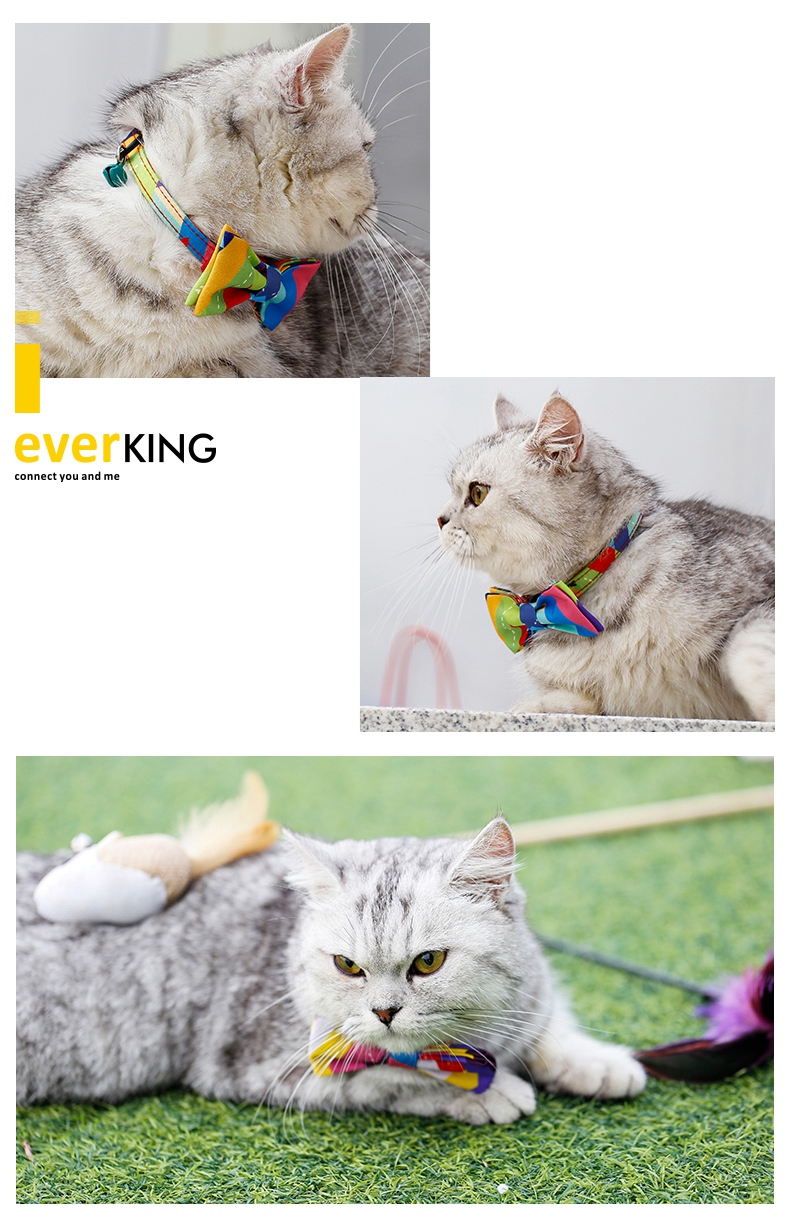polyester collar for cat11.jpg